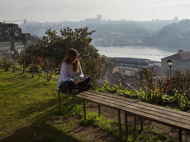 Jardín Virtudes Jardín Virtudes