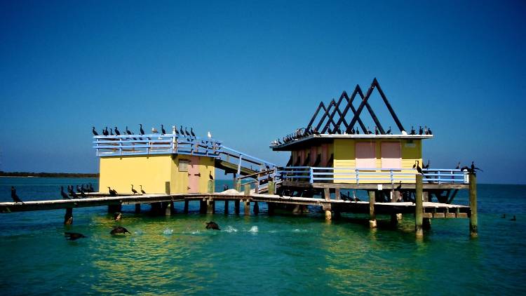 Stiltsville Boat Tour