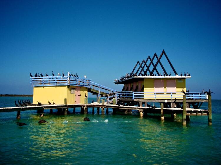 Get an up-close view of Stiltsville