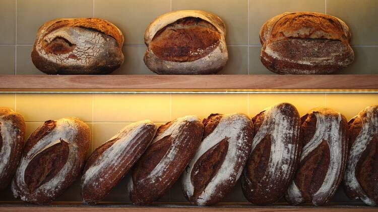 Bread loaves at Wildlife Bakery
