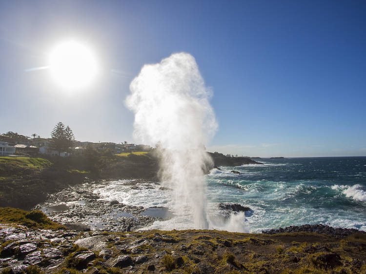 Where to find the best blowholes in New South Wales