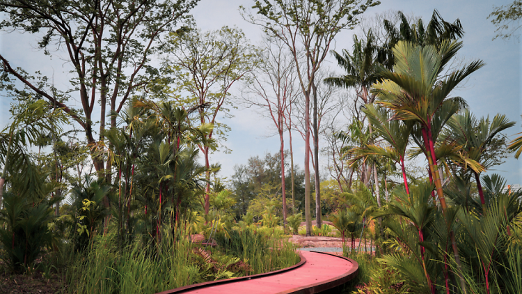 Unleash your inner kid at Jurong Lake Gardens