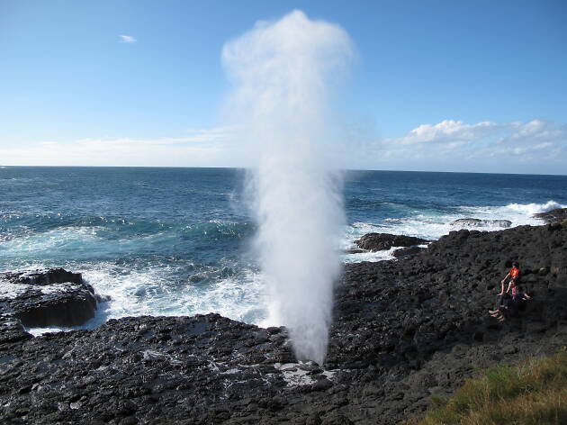 Little Blowhole Kiama Water bursting from the Little Blowhole in Kiama, New South Wales