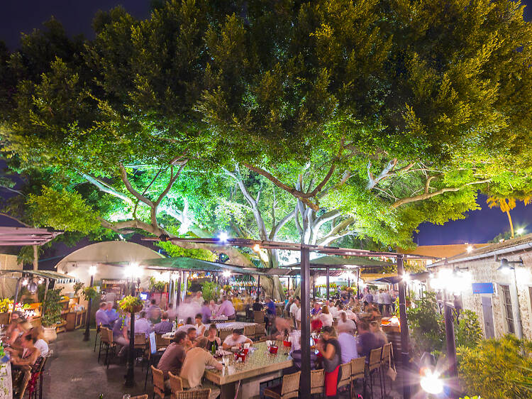 The best restaurants in Neve Tzedek to eat and drink