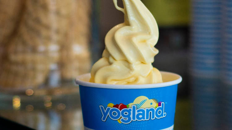 Yogland