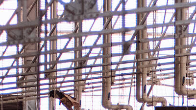 Prueba la mejor comida portuguesa en Time Out Market Lisboa Prueba la mejor comida portuguesa en Time Out Market Lisboa