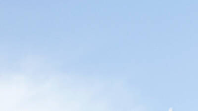 Busca ofertas en la Feira da Ladra Busca ofertas en la Feira da Ladra