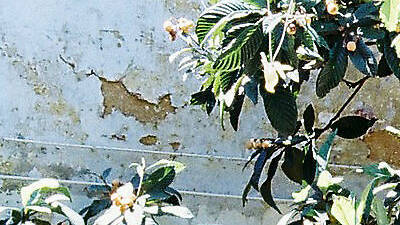 Pasa el día (y la noche) en Casa Independente Pasa el día (y la noche) en Casa Independente