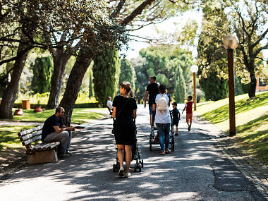 Disfruta de la naturaleza en el parque de Monsanto Disfruta de la naturaleza en el parque de Monsanto