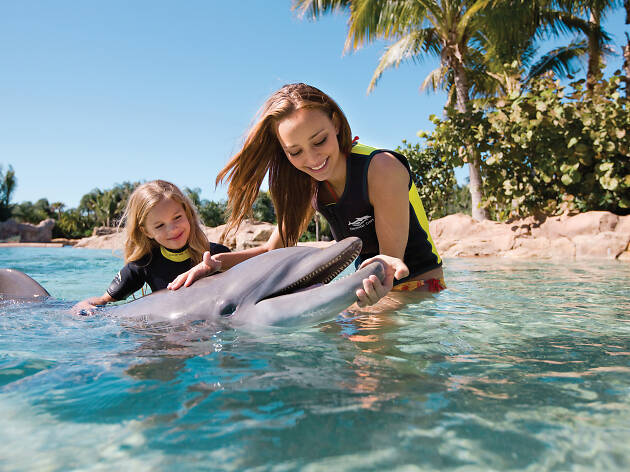 10. Discovery Cove 10. Discovery Cove