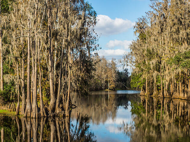 12. Kissimmee 12. Kissimmee