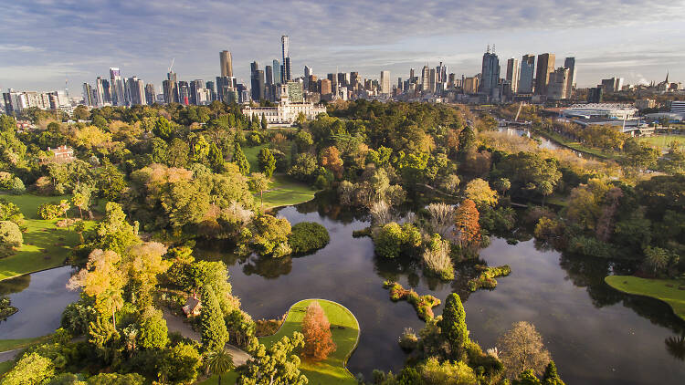 Get back to nature in the Royal Botanic Gardens