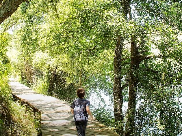 Três passeios na natureza para ir com a família Três passeios na natureza para ir com a família