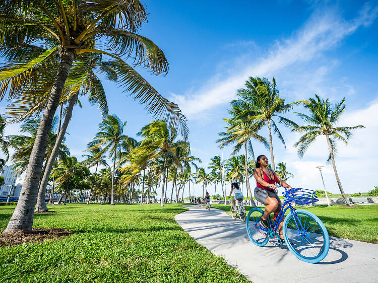The best things to do in Miami Beach right now