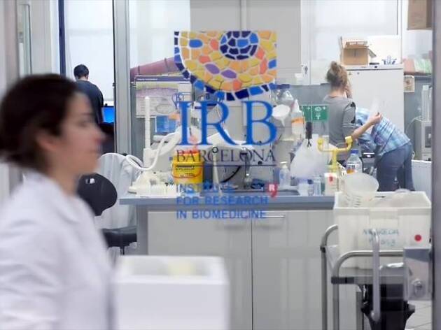 IRB Barcelona IRB Barcelona