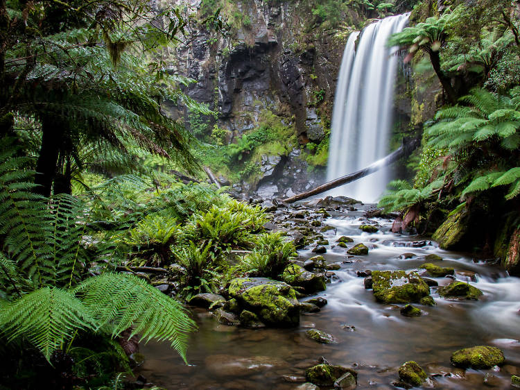 Great Otway National Park