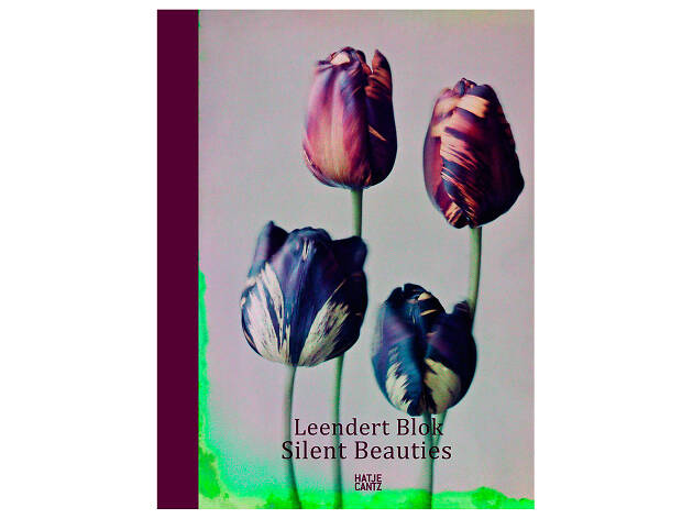 Silent beauties Silent beauties