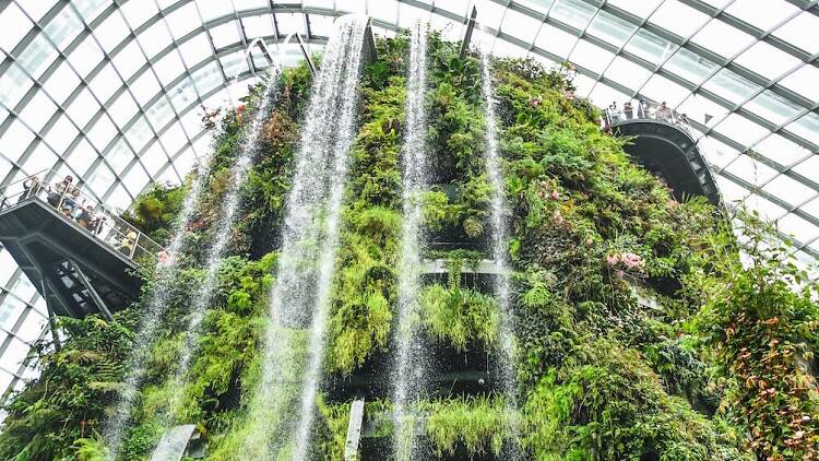 The best things to do on a rainy day in Singapore