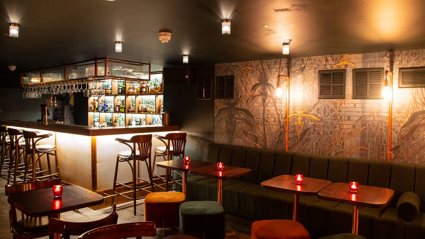 Heads + Tails | Bars and pubs in West Hampstead, London