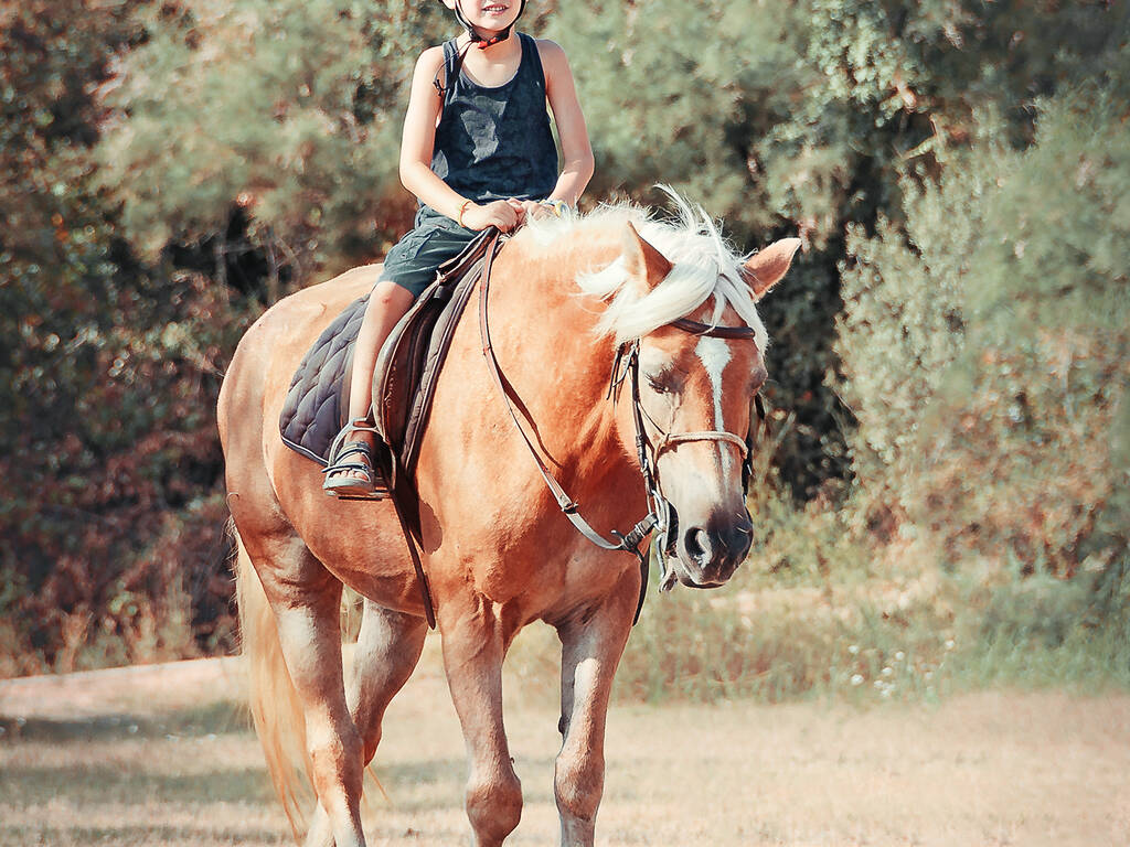 6 Best Spots for Horseback Riding in NYC