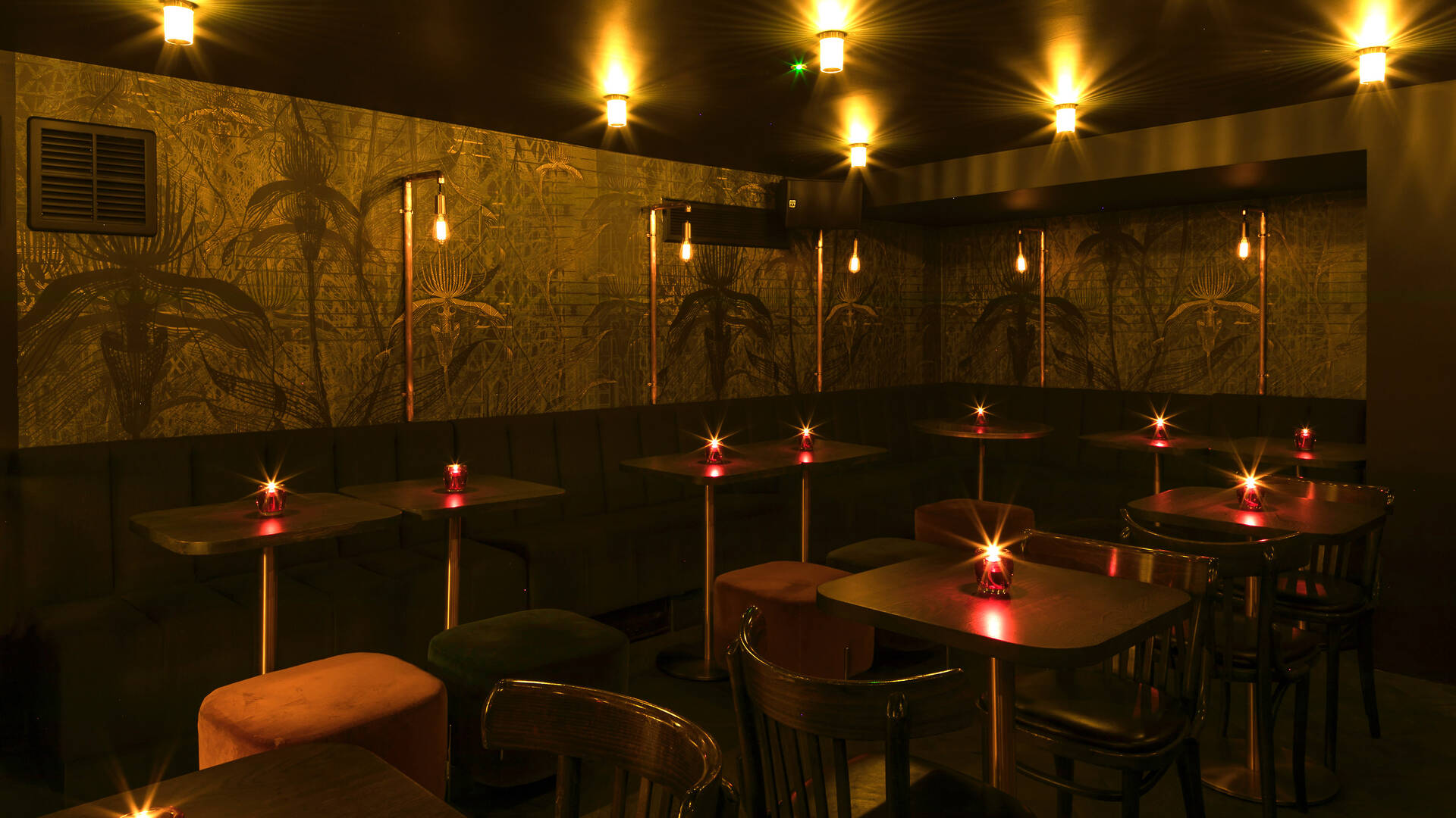 Heads + Tails Bars and pubs in West Hampstead, London