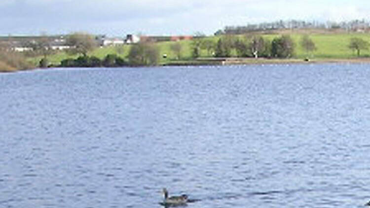 Hogganfield Loch