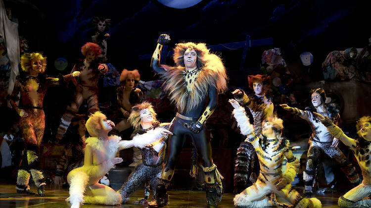 Cats The Musical