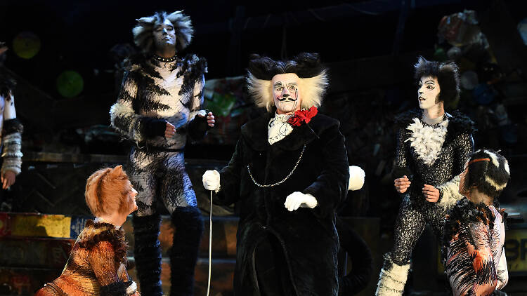 Cats The Musical