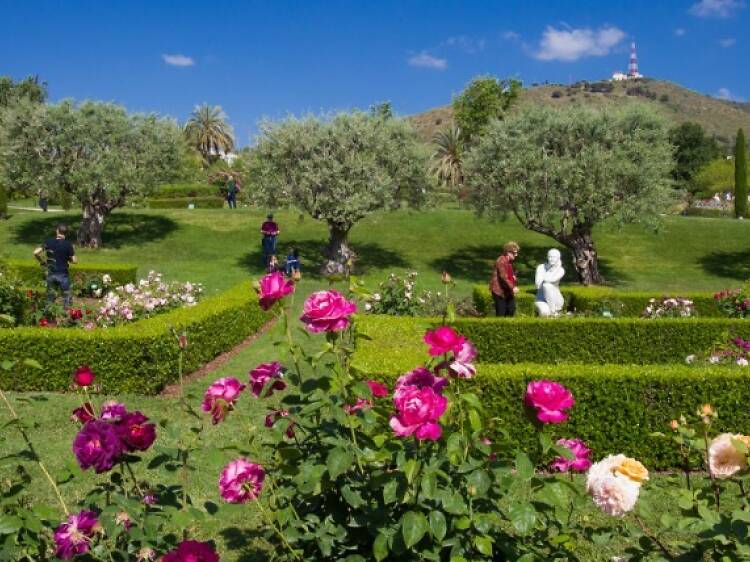 Rosaleda del Parc de Cervantes