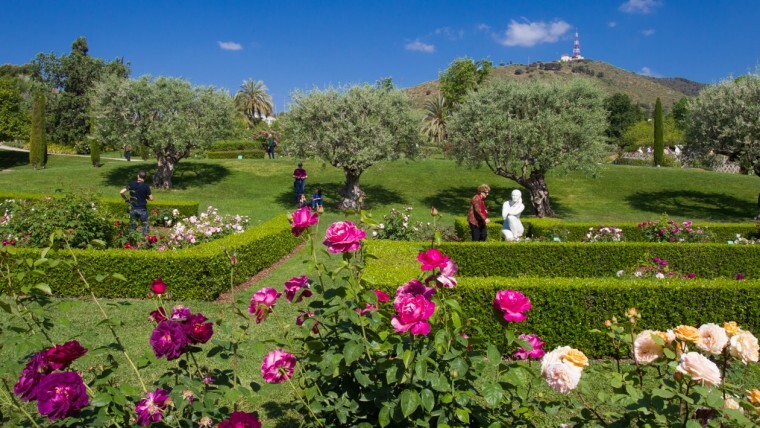 Parc De Cervantes | Attractions In Pedralbes, Barcelona