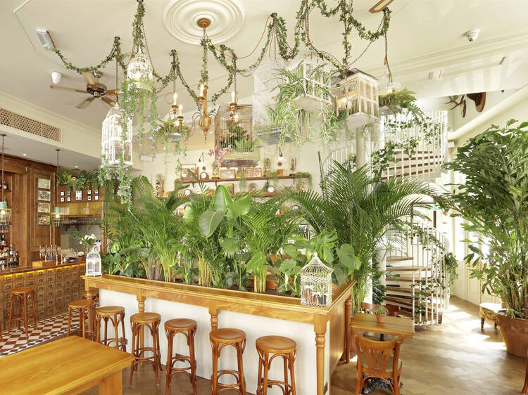 The plant-filled cocktail parlour