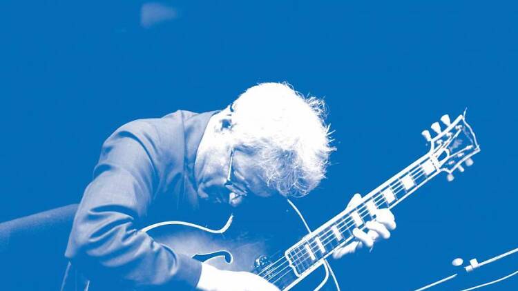 Marc Ribot