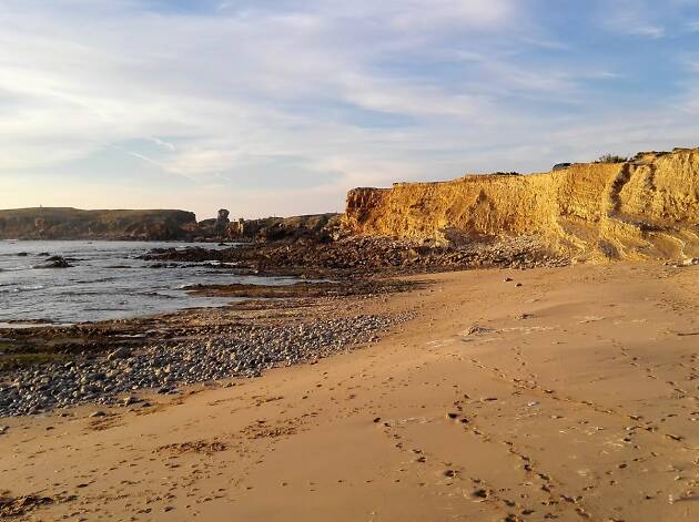 praia do porto da areia norte praias pet friendly