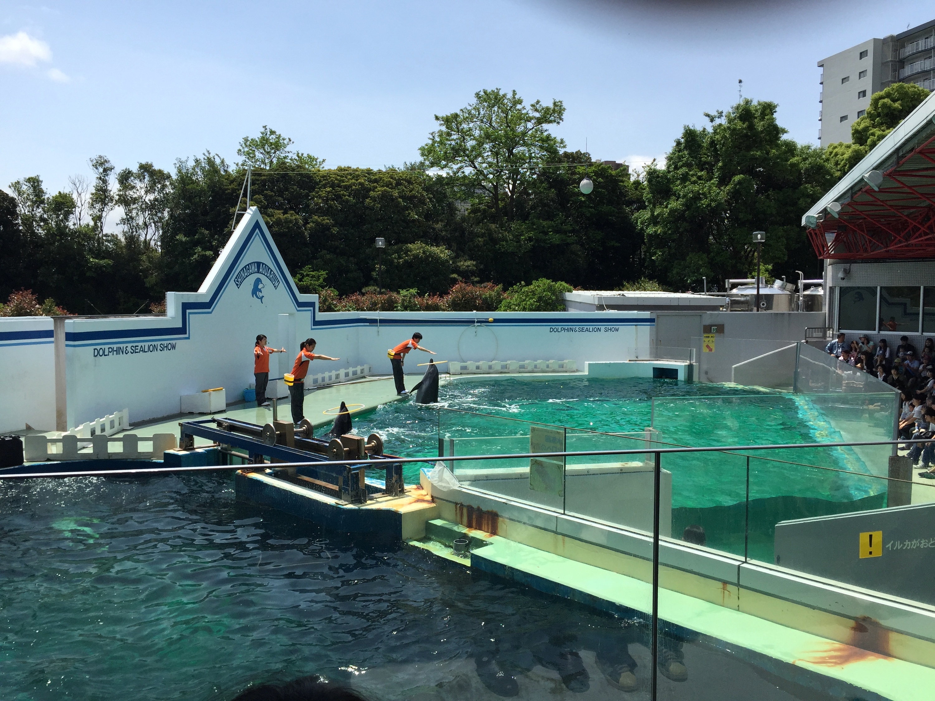 しながわ水族館