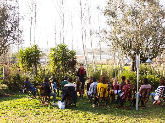 Fauna Fauna, o espaço do Teatro da Didascália
