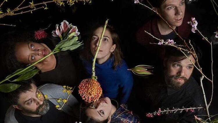 Dirty Projectors