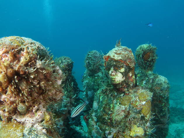1- Museo Subacuático de Cancún (MUSA) 1- Museo Subacuático de Cancún (MUSA)