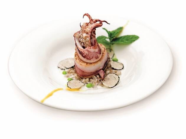 Days of Adriatic squid Days of Adriatic squid