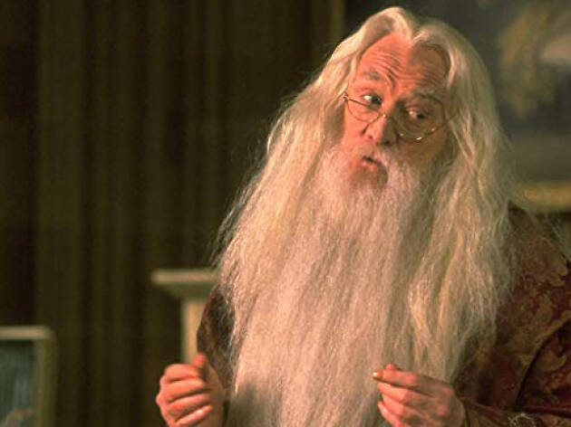 Albus Dumbledore de Harry Potter y la piedra filosofal Albus Dumbledore de Harry Potter y la piedra filosofal