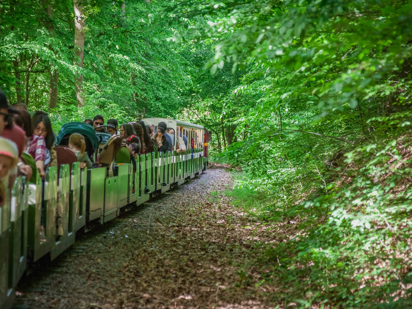 Travel Guide to London, UK and beyond