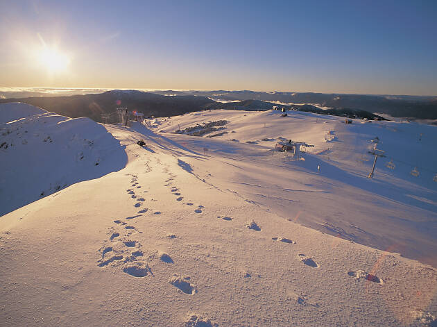 Mt Buller Mt Buller