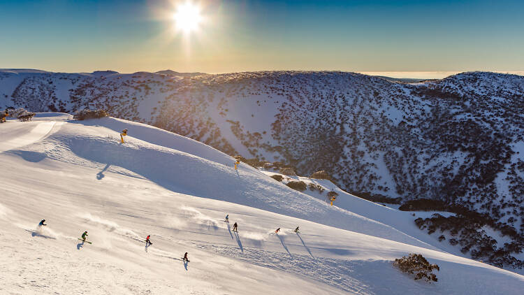 Go skiing at Mt Hotham