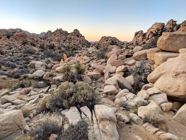 Joshua Tree National Park