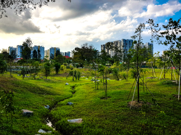 The best running trails in Singapore The best running trails in Singapore