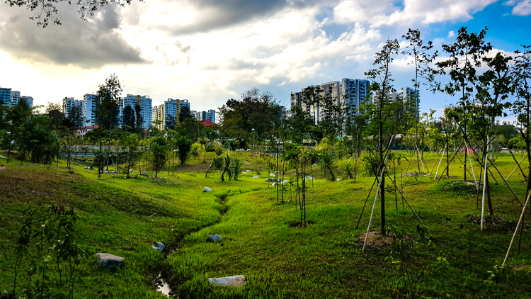 The best running trails in Singapore