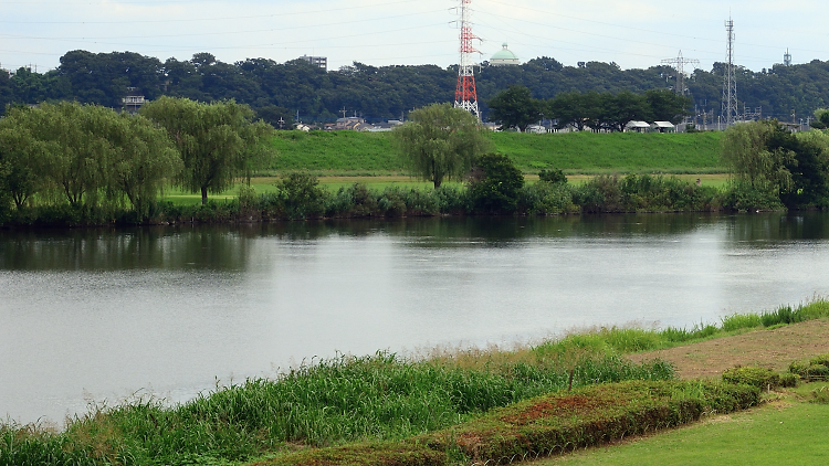 Edo River, Tokyo Edogawa