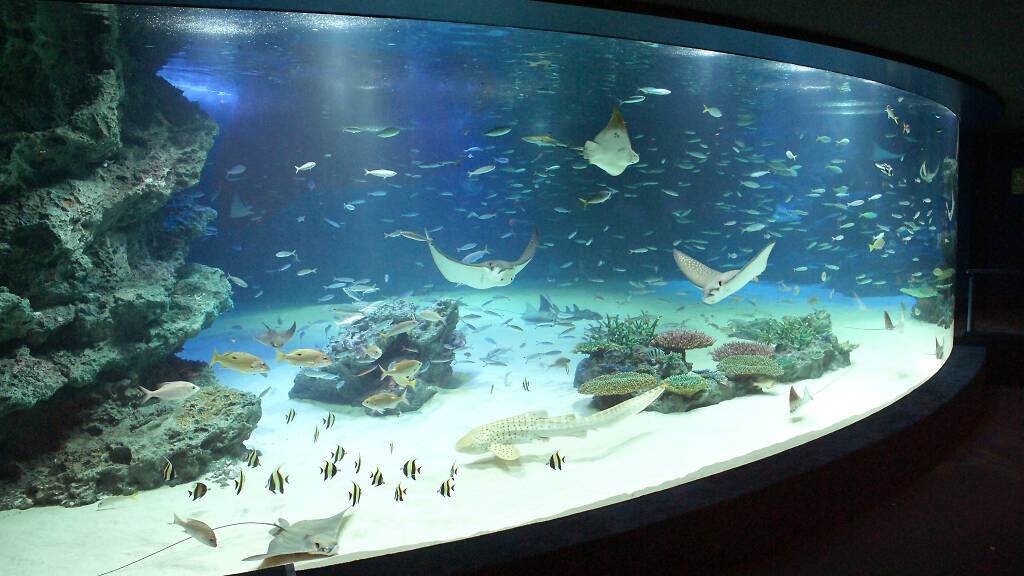 Sunshine Aquarium | Attractions in Ikebukuro, Tokyo