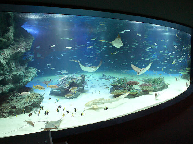 Sunshine Aquarium | Attractions in Ikebukuro, Tokyo