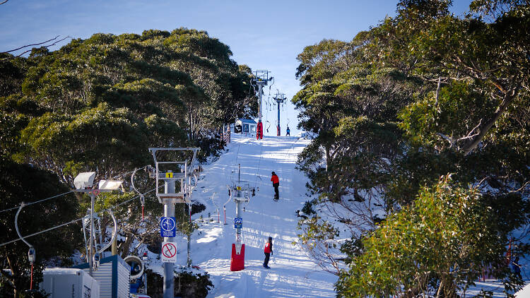 Ski slope at Mt Baw Baw