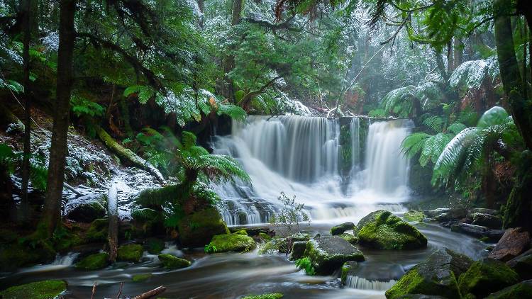 Mount Field National Park